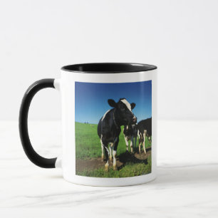 Holstein-Kühe auf einem Gebiet Tasse