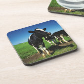 Holstein-Kühe auf einem Gebiet Untersetzer (Linke Seite)