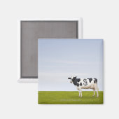 Holstein Milchkuh mit Flecken in Form Magnet (Vorderseite/Rückseite)