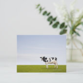 Holstein Milchkuh mit Flecken in Form Postkarte (Stehend Vorderseite)