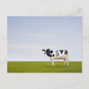 Holstein Milchkuh mit Flecken in Form Postkarte