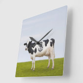 Holstein Milchkuh mit Flecken in Form Quadratische Wanduhr (Winkel)