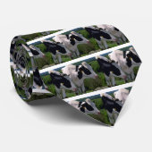 Holstein-Milchvieh Krawatte (Gerollt)