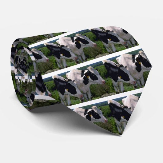 Holstein-Milchvieh Krawatte (Gerollt)