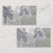 Holstein-Milchvieh Visitenkarte (Vorne/Hinten)