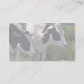 Holstein-Milchvieh Visitenkarte (Rückseite)