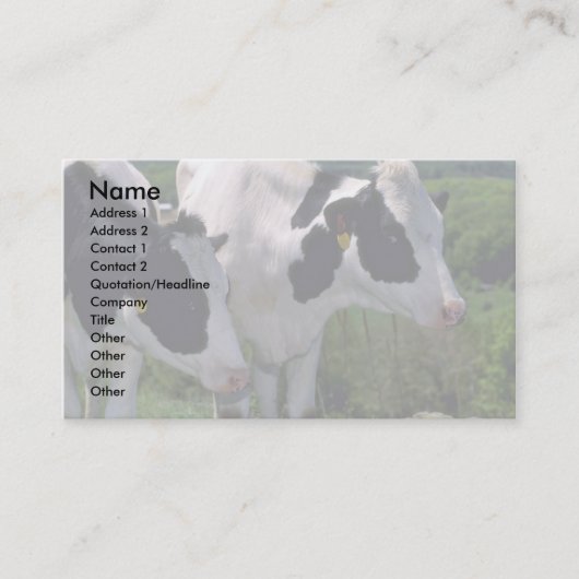 Holstein-Milchvieh Visitenkarte (Vorderseite)