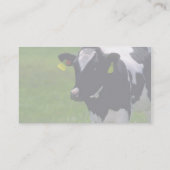 Holstein Milchvieh Visitenkarte (Rückseite)