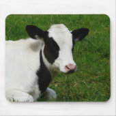 Holstein-Molkereimilch-Kuh auf Gras Mousepad (Vorne)