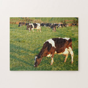 Holstein Puzzle