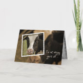 Holstein-Spaß zum Geburtstag Karte (Vorderseite)