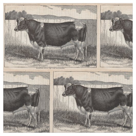 Holsteinbulle aus dem 19. Jahrhundert Stoff (Nahaufnahme)