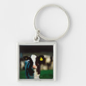 Holsteinerkalb Schlüsselanhänger (Vorne)