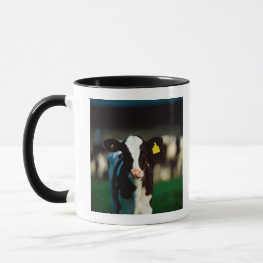 Holsteinerkalb Tasse (Links)