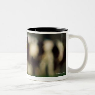Holsteinerkalb Zweifarbige Tasse