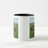 Holsteinervieh, Irland Tasse (Zentrum)