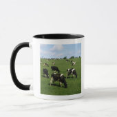 Holsteinervieh, Irland Tasse (Links)