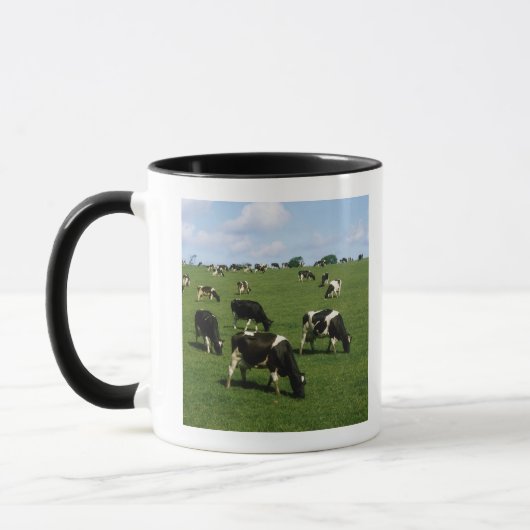 Holsteinervieh, Irland Tasse (Links)