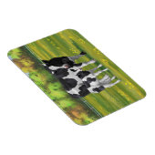 Holsteinkühe und Niedliches Kalb im Sommerweide Magnet (Rechte Seite)