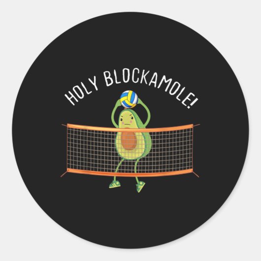 Holy Blockamole Volleyball Cute Fun Runder Aufkleber (Vorderseite)