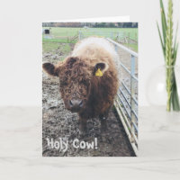 Holy Cow Card