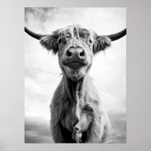 Holy Cow Mesotint Art Fotografie Poster