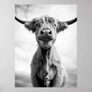 Holy Cow Mesotint Art Fotografy Poster