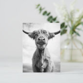 Holy Cow Mesotint Art Fotografy Postkarte (Stehend Vorderseite)