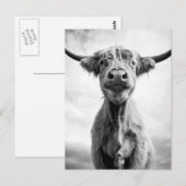 Holy Cow Mesotint Art Fotografy Postkarte (Vorne/Hinten)
