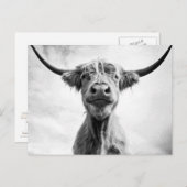 Holy Cow Mesotint Style Art Fotografy L Postkarte (Vorne/Hinten)