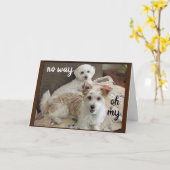 HOLY COW SAGT DIE PÖPS: "SIE WERDEN 70" KARTE (Gelbe Blume)