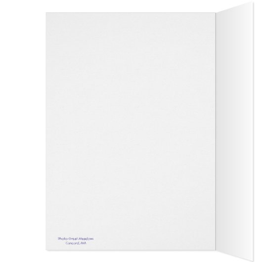 Holy Grackle! It's your Birthday: (Innen (Links))