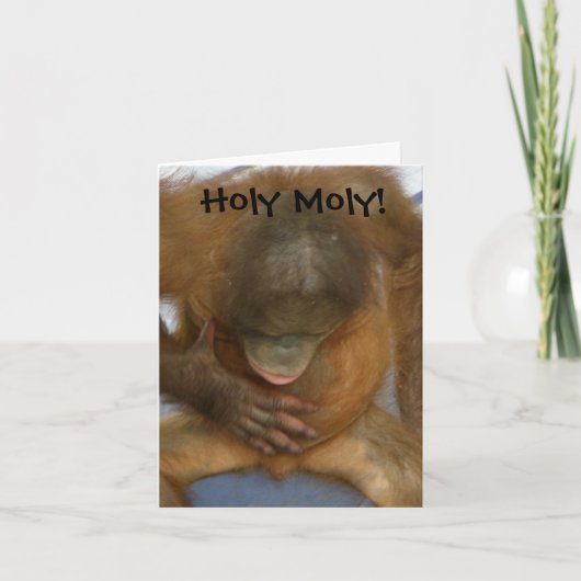 Holy Moly Funny Vasectomy Karte (Vorderseite)