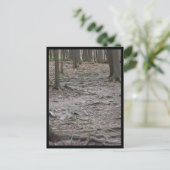 Holz ~ 29 postkarte (Stehend Vorderseite)