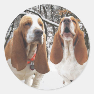 Holz-Aufkleber Basset Hounds Snowy Runder Aufkleber