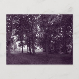 Holz, Bute Park Cardiff - Lila, kräftig Postkarte