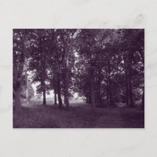Holz, Bute Park Cardiff - Lila, kräftig Postkarte