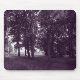 Holz, Bute Park Cardiff - Lila, tonisierte BW Mousepad