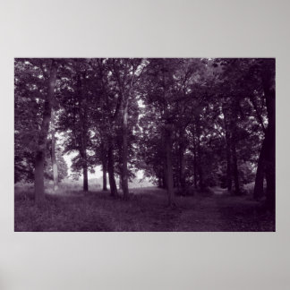 Holz, Bute Park Cardiff - Lila, tonisierte BW Poster