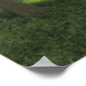 Holz, Bute Park Cardiff Poster (Ecke)