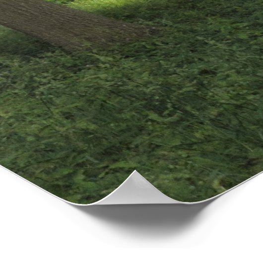 Holz, Bute Park Cardiff Poster (Ecke)