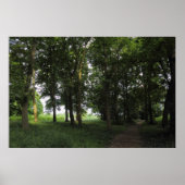 Holz, Bute Park Cardiff Poster (Vorne)