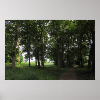 Holz, Bute Park Cardiff Poster