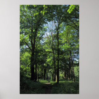 Holz. Bute Park, Cardiff Poster