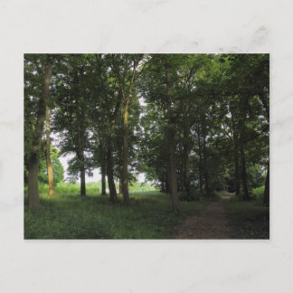 Holz, Bute Park Cardiff Postkarte