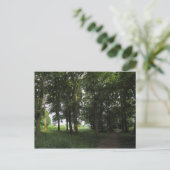 Holz, Bute Park Cardiff Postkarte (Stehend Vorderseite)