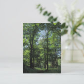 Holz. Bute Park, Cardiff Postkarte (Stehend Vorderseite)