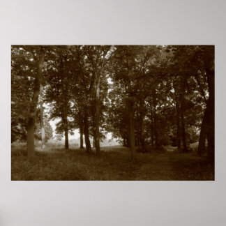 Holz, Bute Park Cardiff - Sepia toned BW Poster
