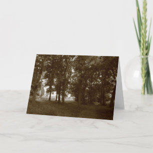 Holz, Bute Park Cardiff - Sepia toniert Karte