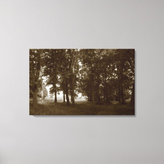 Holz, Bute Park Cardiff - Sepia toniert Leinwanddruck